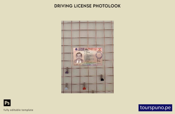 listo para imprimir Plantilla FRONTAL de fotolook de la versión del permiso de 3